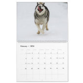 Calendrier Jack et Jill (Feb 2026)