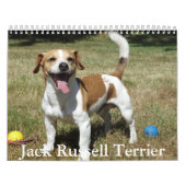 Calendrier Jack Russell Terrier (Protection)