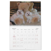 Calendrier Jackie & Sassy's Wild & Krazy Adventures (Mar 2026)