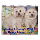 Calendrier Jackie & Sassy's Wild & Krazy Adventures (Protection)