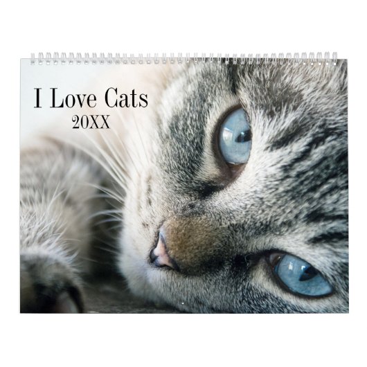 Calendrier J'adore les chats (Protection)