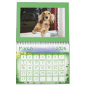 Calendrier J'ADORE LES DACHSHUNDS MINIATURE AUX cheveux longs (Mar 2026)