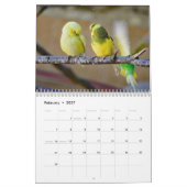 Calendrier J'adore les perruches - clichés des petits oiseaux (Feb 2027)