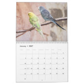Calendrier J'adore les perruches - clichés des petits oiseaux (Jan 2027)