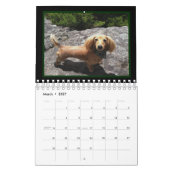 Calendrier J'aime de longs teckels de miniature de cheveux (Mar 2027)