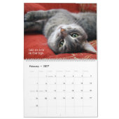 Calendrier J'aime les chats (Feb 2027)