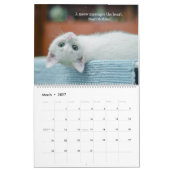 Calendrier J'aime les chats (Mar 2027)