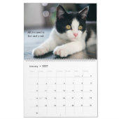 Calendrier J'aime les chats (Jan 2027)