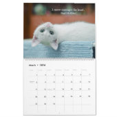 Calendrier J'aime les chats (Mar 2026)