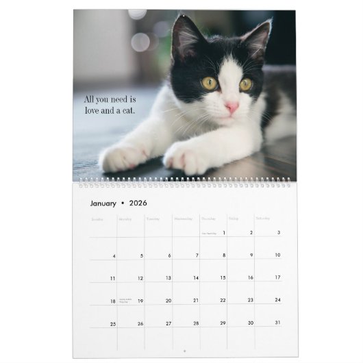 Calendrier J'aime les chats (Jan 2026)