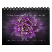 Jardin Fleurs No 42 Version de flux couleur
