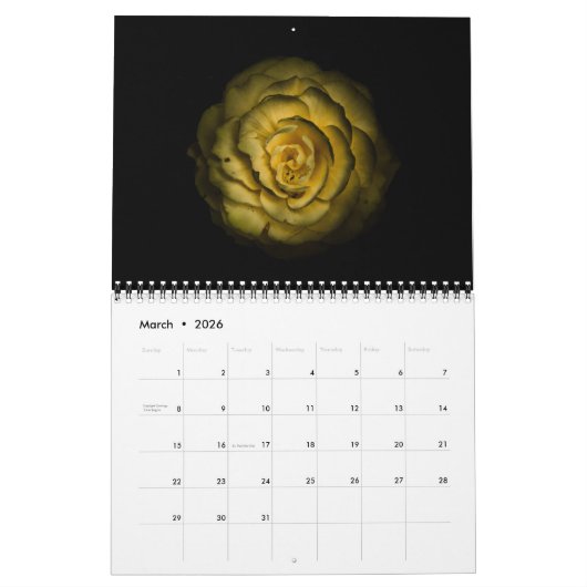 Calendrier Jardin Fleurs No 85 Version couleur (Mar 2026)