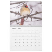 Calendrier Jardin Oiseaux Photos & Art (Jan 2026)