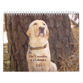 Calendrier jaune de laboratoire - 2013 (Protection)