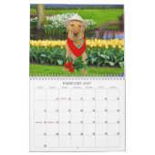Calendrier jaune de laboratoire - 2013 (Feb 2027)