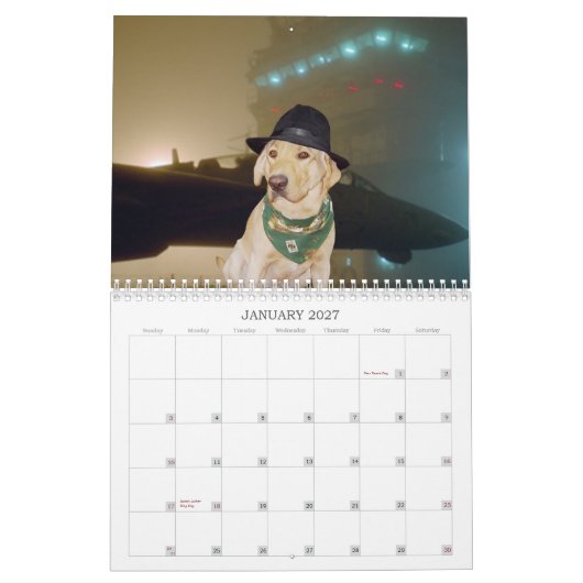 Calendrier jaune de laboratoire - 2013 (Jan 2027)