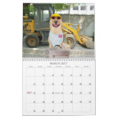 Calendrier jaune de laboratoire - 2013 (Mar 2027)