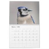 Calendrier Jay bleu 2026 (Feb 2026)