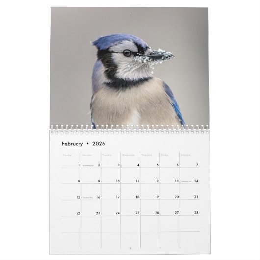 Calendrier Jay bleu 2026 (Feb 2026)