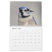 Calendrier Jay bleu 2026 (Feb 2027)