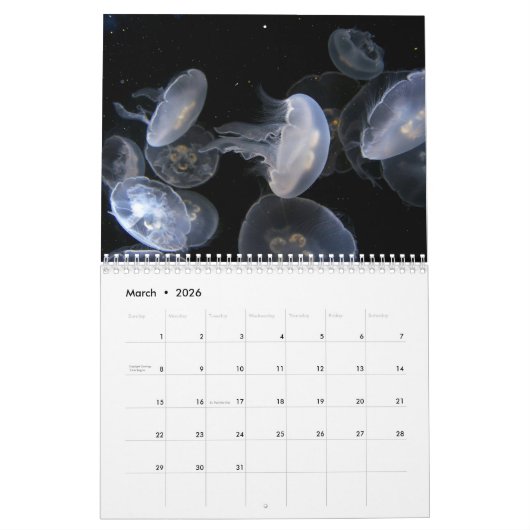 Calendrier Jellyfish Custom Printed Calendar 2022 (Mar 2026)