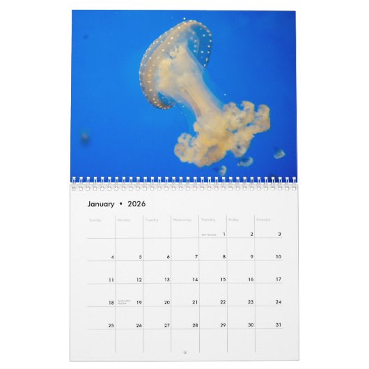 Calendrier Jellyfish Custom Printed Calendar 2022 (Jan 2026)