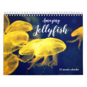 Calendrier Jellyfish Extraordinaire 2026 (Protection)