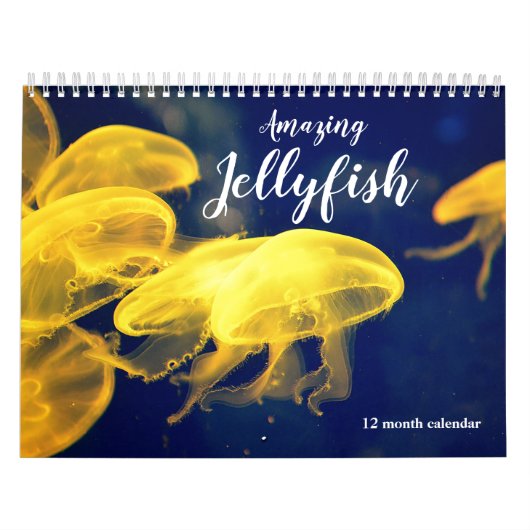 Calendrier Jellyfish Extraordinaire 2026 (Protection)