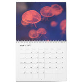 Calendrier Jellyfish Extraordinaire 2026 (Mar 2027)