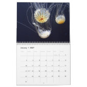 Calendrier Jellyfish Extraordinaire 2026 (Jan 2027)