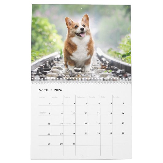 Calendrier Joli Corgis ! Chien / Chien (Mar 2026)