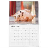 Calendrier Joli Corgis ! Chien / Chien (Feb 2026)