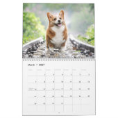 Calendrier Joli Corgis ! Chien / Chien (Mar 2027)