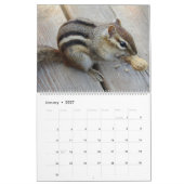 Calendrier Joli écureuil rayé faune animal   (Jan 2027)
