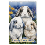 Calendrier Joli Lapin Lapin De Lop (Protection)