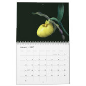 Calendrier Jolies Fleurs (Jan 2027)