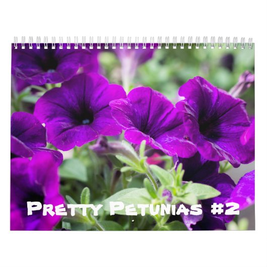 Calendrier - Jolies Petunias #2 (Protection)