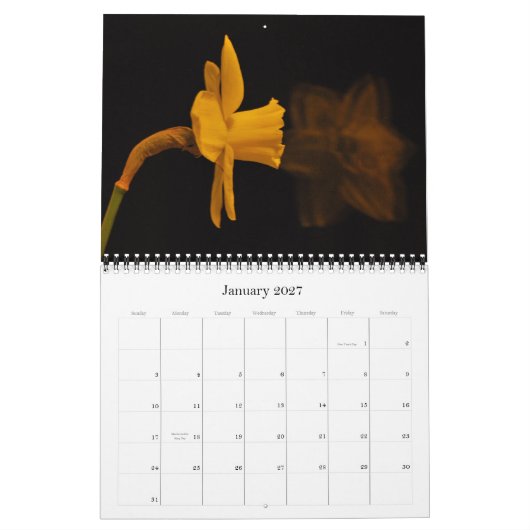 Calendrier Jonquilles (Jan 2027)