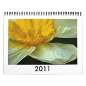 Calendrier Jonquilles (Protection)