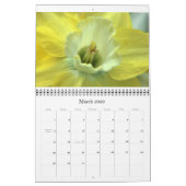 Calendrier Jonquilles (Mar 2026)