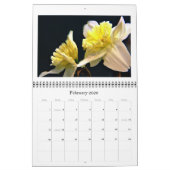 Calendrier Jonquilles (Feb 2026)
