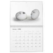 Calendrier "JOUER AVEC LA NOURRITURE" (Jan 2026)