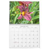 Calendrier journalier (Jan 2027)