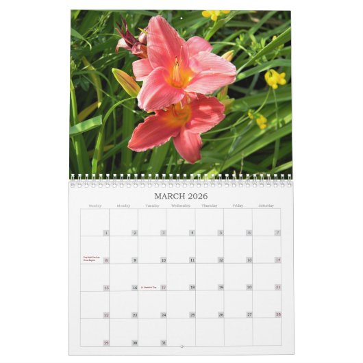 Calendrier journalier (Mar 2026)