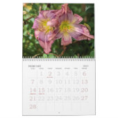 Calendrier journalier (Feb 2027)