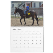 Calendrier Jours de mule du Montana (Mar 2027)