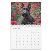 Calendrier Jours de Pawsitive : Chiens pour chaque mois, (Jan 2027)