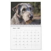 Calendrier Jours de Pawsitive : Chiens pour chaque mois, (Mar 2027)