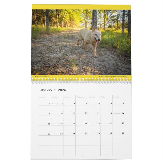 Calendrier Joy 2023 de Matilda (Feb 2026)