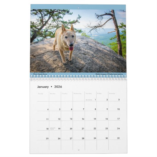 Calendrier Joy 2023 de Matilda (Jan 2026)